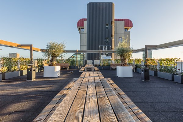 Foto - Te koop: Pastoor Petersstraat 176-62, 5612 LW Eindhoven